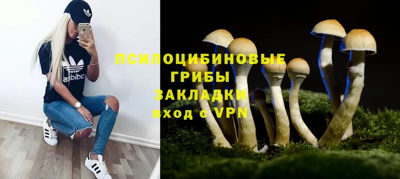 Галлюциногенные грибы MAGIC MUSHROOMS  Волгореченск 